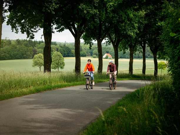 Unterwegs auf der Grenzgängerroute Twee fietsers rijden over een laan door een groen landschap met bomen.