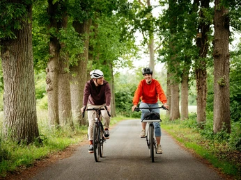 Allee bei Borgholzhausen Zwei Personen radeln auf einem von Bäumen gesäumten Weg.Two people cycling along a tree-lined path.To personer cykler langs en træbeklædt sti.Twee mensen fietsen over een met bomen omzoomd pad.