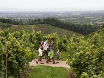 Auch Familien können die Weinwanderung machen