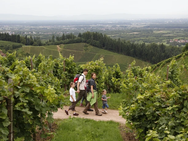 Auch Familien können die Weinwanderung machen