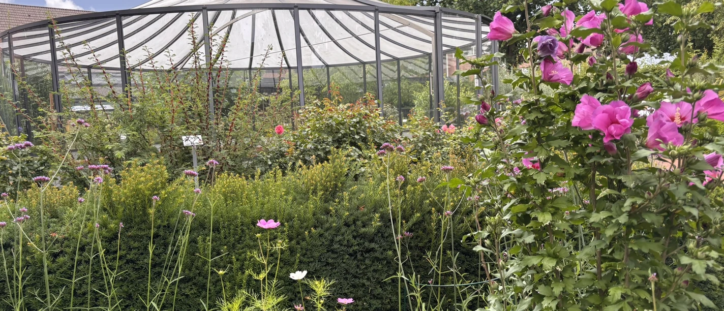 Der liebevoll angelegte Garten lädt zum Entspannen ein..JPEG Blühender Garten mit rosafarbenen und violetten Blumen vor einem gläsernen Pavillon unter blauem Himmel.
