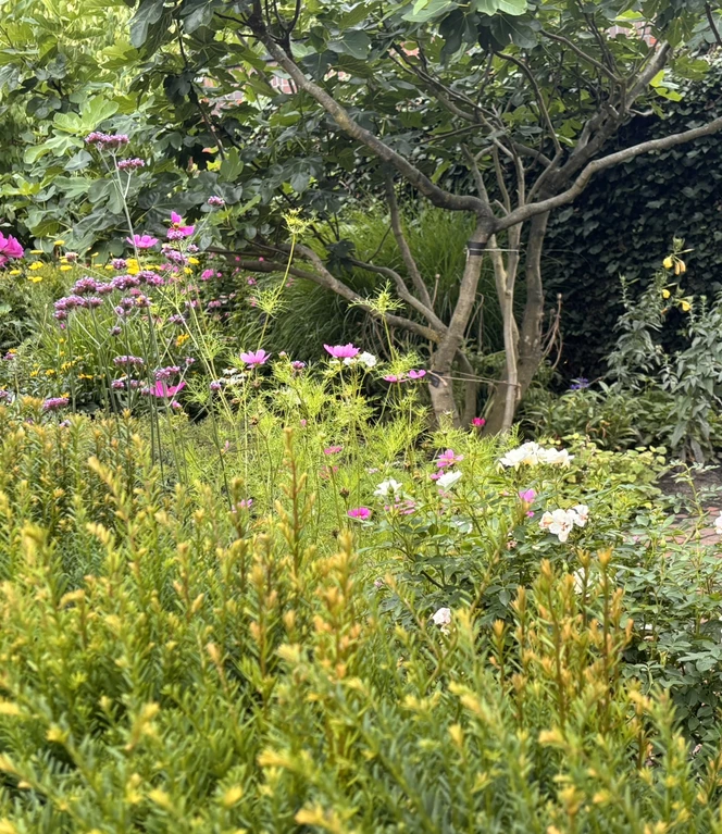 Bunt und farbenfroh präsentiert sich eine Oase der Ruhe..JPEG