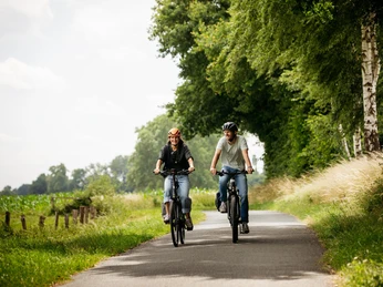 Unterwegs auf der Friedensroute Münster - Osnabrück Zwei Männer fahren lachend auf einer asphaltierten Landstraße durch grüne Landschaft.Two men drive through a green landscape on a paved country road, laughing.To mænd kører grinende gennem et grønt landskab på en asfalteret landevej.Twee mannen rijden lachend door een groen landschap op een geasfalteerde landweg.