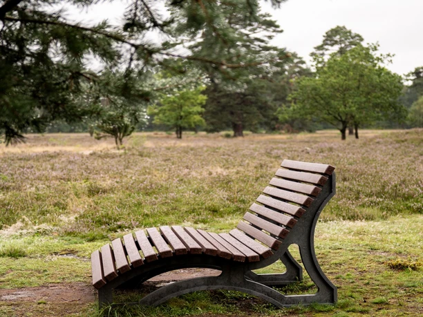 Oldendorfer Totenstatt Bank (3).JPG Eine hölzerne Bank steht allein auf einer Wiese, umgeben von Bäumen und Heidekraut.