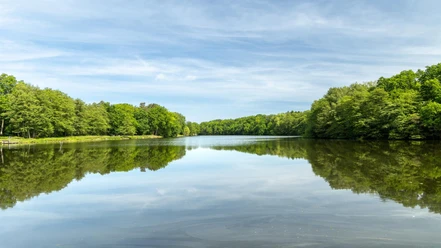 lopausee-amelinghausen-naturidyll-lueneburger-heide.JPG Blick über den ruhigen Lopausee, der von dichten grünen Wäldern gesäumt ist und den Himmel spiegelt.