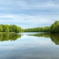lopausee-amelinghausen-naturidyll-lueneburger-heide.JPG Blick über den ruhigen Lopausee, der von dichten grünen Wäldern gesäumt ist und den Himmel spiegelt.