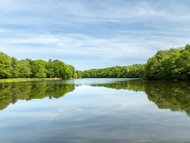 Lopausee Blick über den ruhigen Lopausee, der von dichten grünen Wäldern gesäumt ist und den Himmel spiegelt.