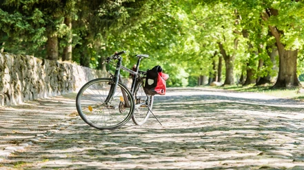 Aktiv mit dem Fahrrad-in Amelinghausen-2025.JPG Ein Fahrrad steht auf einem gepflasterten Weg. Links ist eine Mauer, rechts eine Baumreihe. Die Sonne scheint durch das dichte Blätterdach. Perfekt für eine entspannte Radtour durch die Natur.