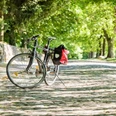 Aktiv mit dem Fahrrad-in Amelinghausen-2025.JPG Ein Fahrrad steht auf einem gepflasterten Weg. Links ist eine Mauer, rechts eine Baumreihe. Die Sonne scheint durch das dichte Blätterdach. Perfekt für eine entspannte Radtour durch die Natur.
