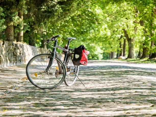 Aktiv mit dem Fahrrad-in Amelinghausen-2025.JPG Ein Fahrrad steht auf einem gepflasterten Weg. Links ist eine Mauer, rechts eine Baumreihe. Die Sonne scheint durch das dichte Blätterdach. Perfekt für eine entspannte Radtour durch die Natur.