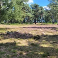 Hügelgräberheide am Wiesengrund bei Groß Berßen ©Naturpark Hümmling (3).jpg