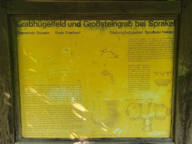Infotafel Großsteingrab und Grabhügelfeld Sprakler Wald bei Stavern ©Naturpark Hümmling.jpg Gelbe Infotafel im Wald erklärt das Grabhügelfeld und Großsteingrab bei Sprakel im Naturpark Hümmling