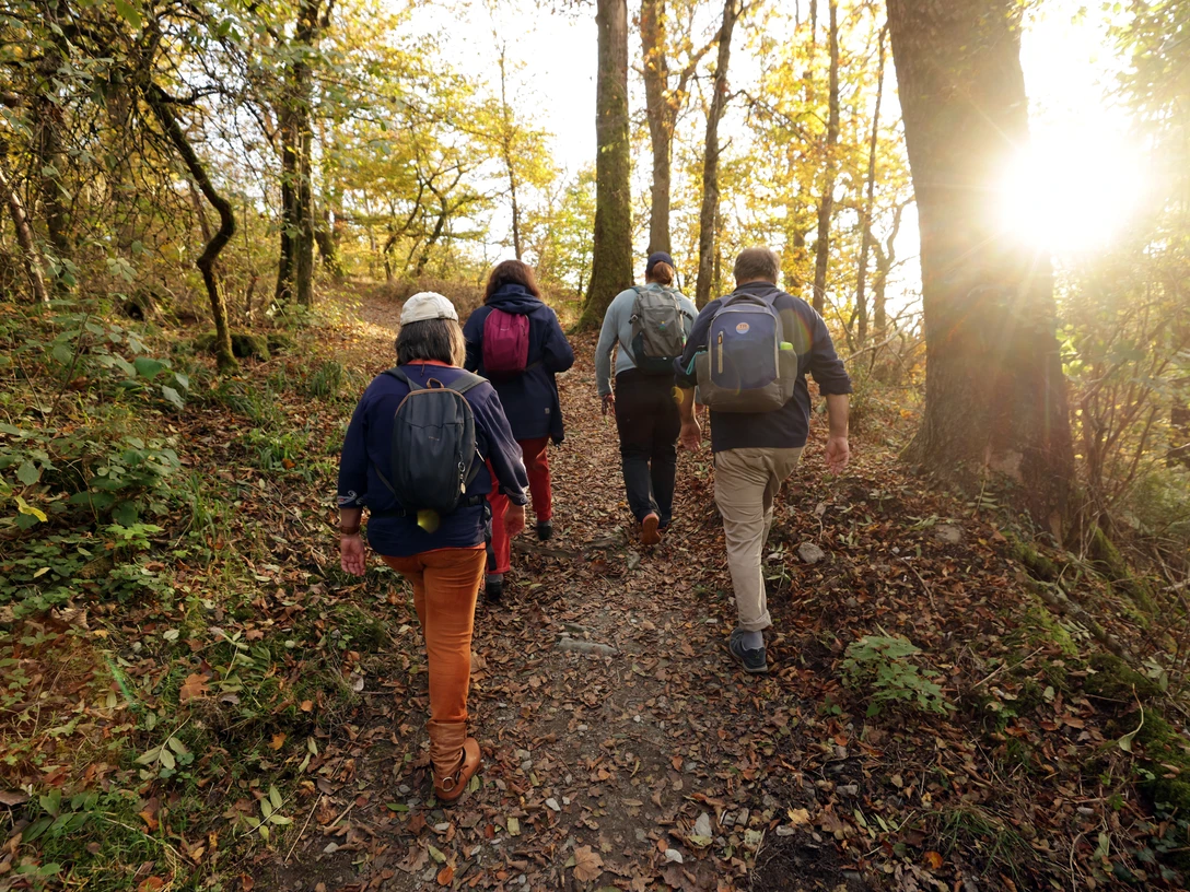 Königstein Heilklima-Wanderung im Herbst (Heiko Rhode.251024_069 für den Hessischen Heilbäderverband).jpg