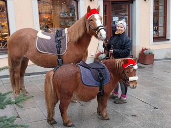 Unsere tierischen Mitbewohner