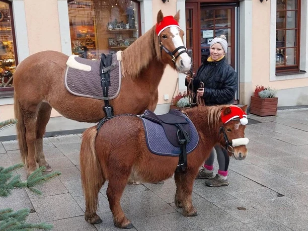 Unsere tierischen Mitbewohner