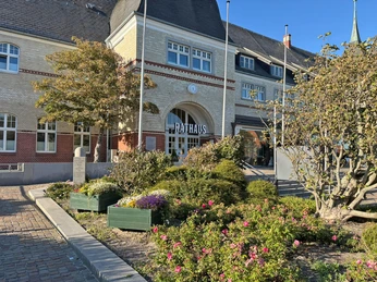 Rathaus in Westerland mit Rosen