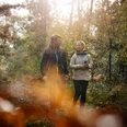 Wandern im Osnabrücker Land Zwei Personen wandern im sonnendurchfluteten Wald bei herbstlicher Stimmung.Two people hiking in the sun-drenched forest in an autumnal atmosphere.To mennesker vandrer i den solbeskinnede skov i en efterårsagtig atmosfære.Twee mensen wandelen in een zonovergoten bos in herfstsfeer.