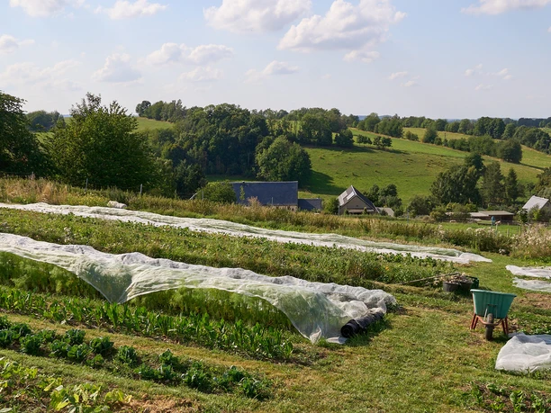 Field with individual rows for vegetables and the farm with landscape in the background.