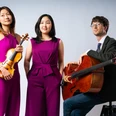 Jasper Trio- Foto - .JPG Das Bild zeigt das Jasper Trio - Zwei Musikerinnen in lebhaft violetten Outfits und ein Musiker im Anzug mit Violine und Cello vor neutralem Hintergrund.
