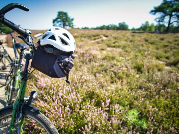 50-jahre-samtgemeinde-amelinghausen-cover (22).JPG Ein Fahrrad steht auf einem Weg, der durch eine blühende Heidelandschaft führt. Ein Helm hängt am Lenker. Im Hintergrund sind sanfte Hügel zu sehen und Bäume unter klarem, blauem Himmel. Es lädt dazu ein, die Natur mit dem Rad zu erkunden und die frische Luft zu genießen.