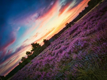 50-jahre-samtgemeinde-amelinghausen-cover (23).JPG