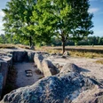 Oldendorfer-totenstatt.JPG Flache Hügelgräber aus Steinen vor einer offenen Wiesenlandschaft mit Bäumen im Hintergrund. Sonniges Wetter, klarer blauer Himmel. Eine Bank steht am Wegesrand.