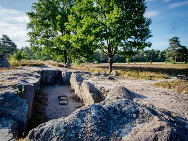 Oldendorfer-totenstatt.JPG Flache Hügelgräber aus Steinen vor einer offenen Wiesenlandschaft mit Bäumen im Hintergrund. Sonniges Wetter, klarer blauer Himmel. Eine Bank steht am Wegesrand.