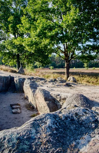 Oldendorfer-totenstatt.JPG Flache Hügelgräber aus Steinen vor einer offenen Wiesenlandschaft mit Bäumen im Hintergrund. Sonniges Wetter, klarer blauer Himmel. Eine Bank steht am Wegesrand.