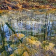 schwindequelle-soderstorf-amelinghausen.JPG Klares Wasser der Schwindequelle spiegelt Bäume. Umgeben von Waldboden und Laub. Ein friedlicher Moment in der Natur. Perfekt für einen Besuch in Soderstorf bei Amelinghausen.