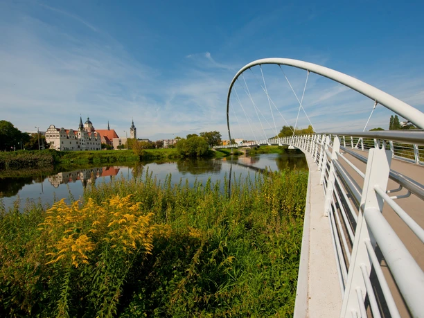 Tiergartenbrücke Dessau-Roßlau