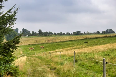 Tierische Beobachter am Wegesrand