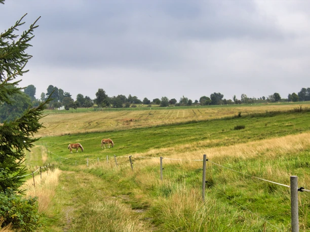 Tierische Beobachter am Wegesrand