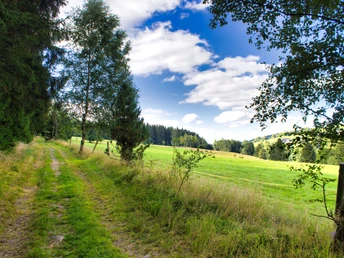 kurzer Abschnitt am Waldrand