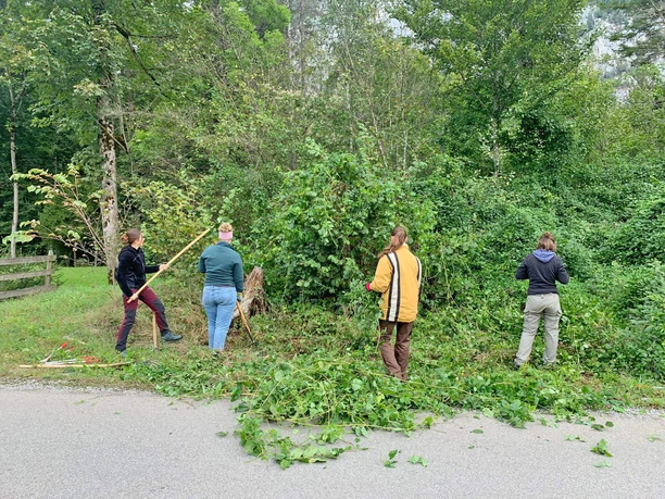 Travaux à la lisière de la forêt Des bénévoles aident à entretenir une lisière de forêt