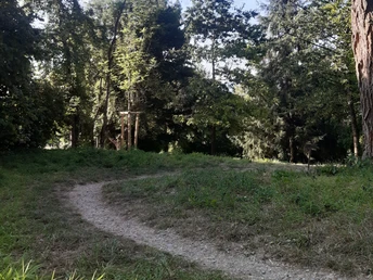 Das Naturgebiet Kirschenberg auf den VitalWegen 5 und 22 Schmaler Naturpfad mit Grasrändern führt durch bewaldetes Gebiet unter klarem blauem Himmel.