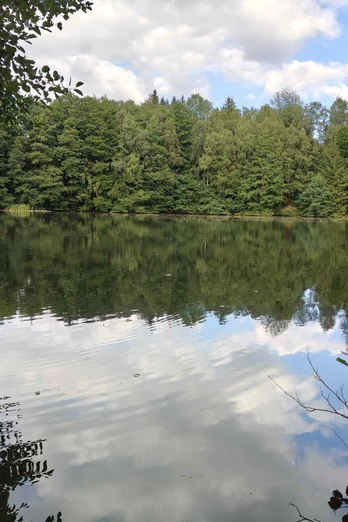 Unterer Steinbergsee2_kl