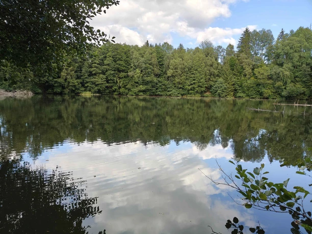 Unterer Steinbergsee2_kl