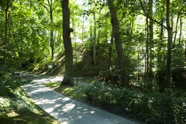 Bad_Camberg_5645.jpg