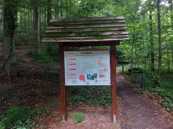 Starttafel_An den Teichen Holztafel mit Wegkarte und Informationen zu den VitalWegen im grünen Waldgebiet bei EinbeckWooden board with trail map and information on the vitality trails in the green forest area near EinbeckTræplade med kort over stier og information om vitalitetsstierne i det grønne skovområde nær EinbeckHouten bord met routekaart en informatie over de vitaliteitspaden in het groene bosgebied bij Einbeck