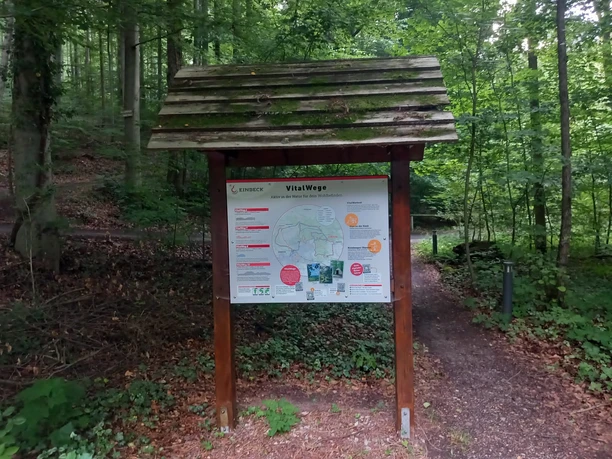 Starttafel_An den Teichen Holztafel mit Wegkarte und Informationen zu den VitalWegen im grünen Waldgebiet bei Einbeck