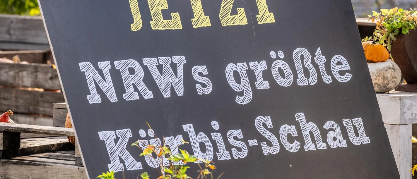 Werbeschild Kürbisschau