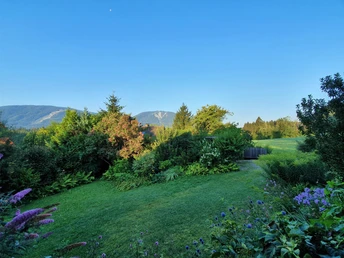 Garten mit Blick aufs Hörnle