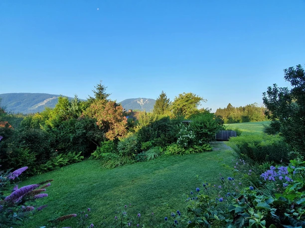Garten mit Blick aufs Hörnle