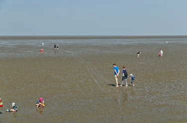 5_kcp_eckwarderhoerne_wattwandern.jpg