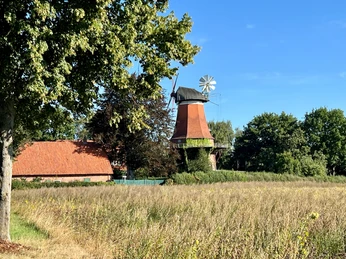 Windmühle in ländlicher Umgebung mit rotem Ziegeldachgebäude, umgeben von Wiesen und Bäumen.