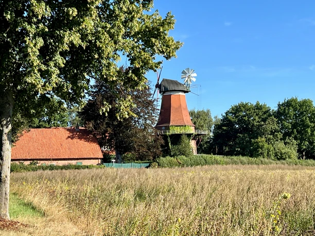 Windmühle in ländlicher Umgebung mit rotem Ziegeldachgebäude, umgeben von Wiesen und Bäumen.