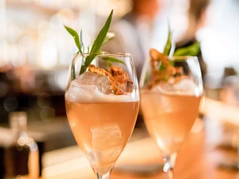 Suderman Zwei stilvoll arrangierte Cocktailgläser mit farbenfrohem Getränk und dekorativen Kräutern auf einer Holztheke.Two stylishly arranged cocktail glasses with a colorful drink and decorative herbs on a wooden counter.