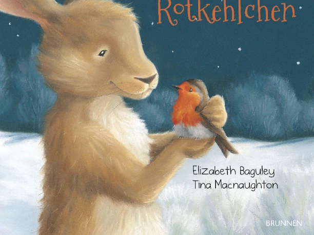 The old rabbit and the robin