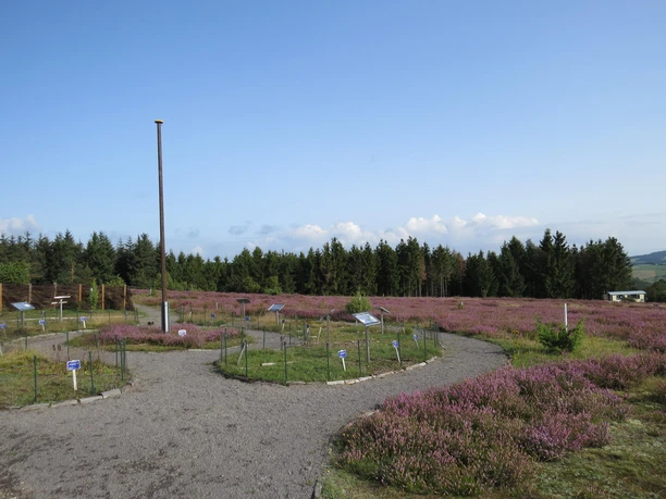 Heidegarten Wabelsberg