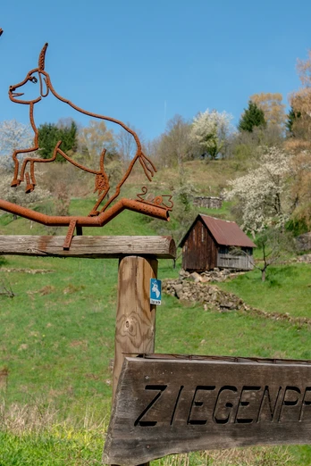 Ziegenpfad in Forbach Bermersbach